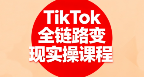 小杨老师·TikTok全链路变现实操课程-轻网创