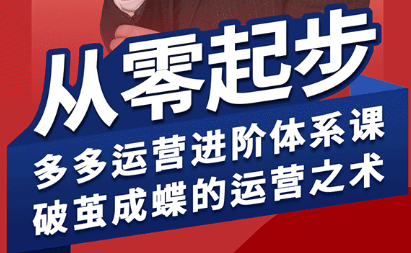 海神·拼多多运营进阶系统课(更新9月)-轻网创