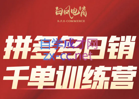 白凤电商·拼多多日销千单训练营(更新9月)-轻网创