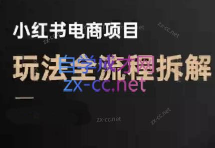 菲菲老师·小红书电商玩法(更新9月)-轻网创